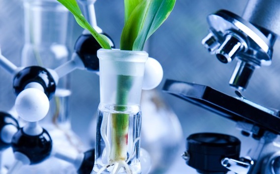 Blood-Test-Tube Image